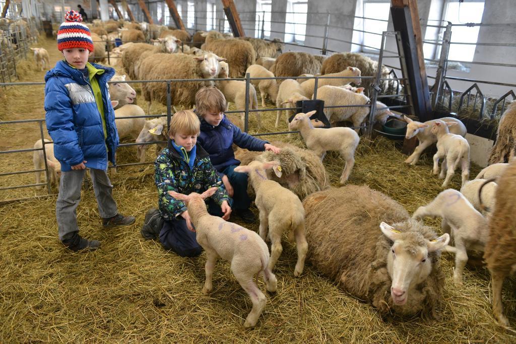 Pension Biofarma Slunecna Zelnava Luaran gambar